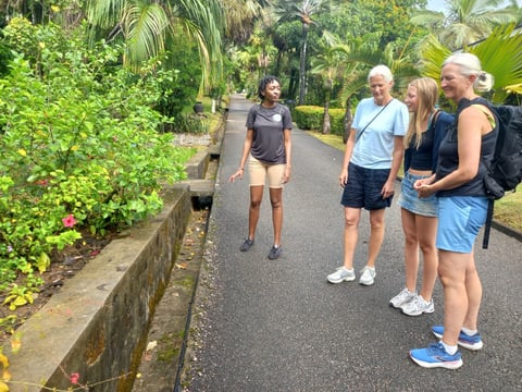 A group of five runners on a paved path in a tropical garden with lush green vegetation and palm trees