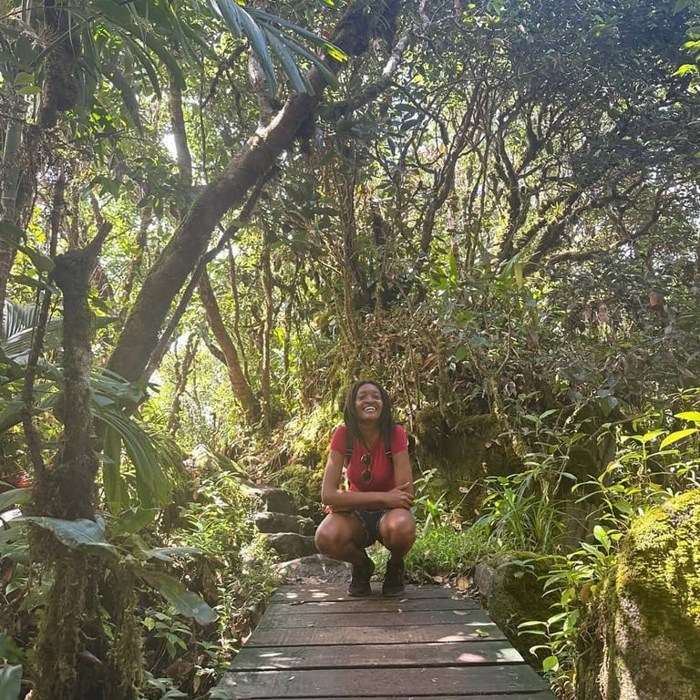 Private Tour