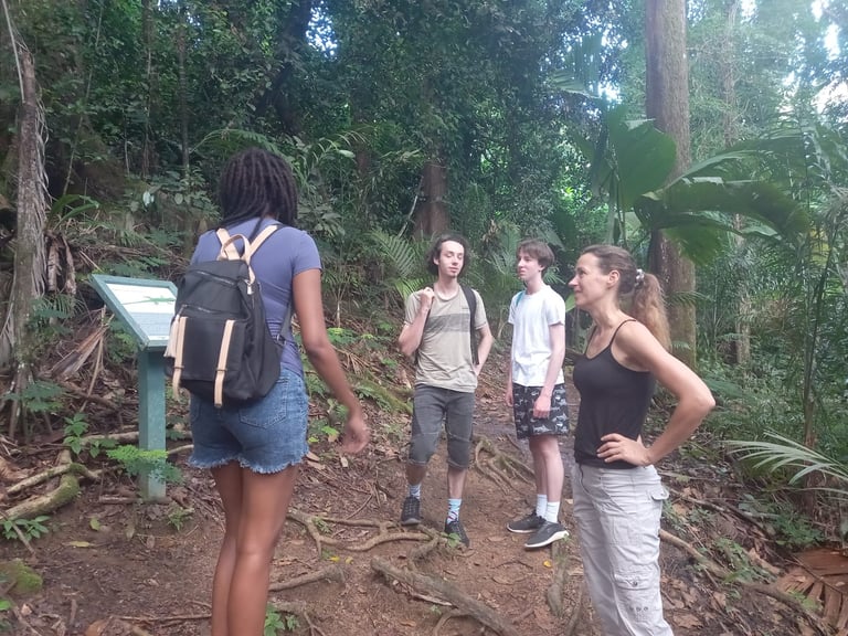 Forest Hiking Adventure