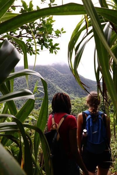 Two hikers viewed from behind looking out at a misty mountain valley framed by green tropical plants and foliage